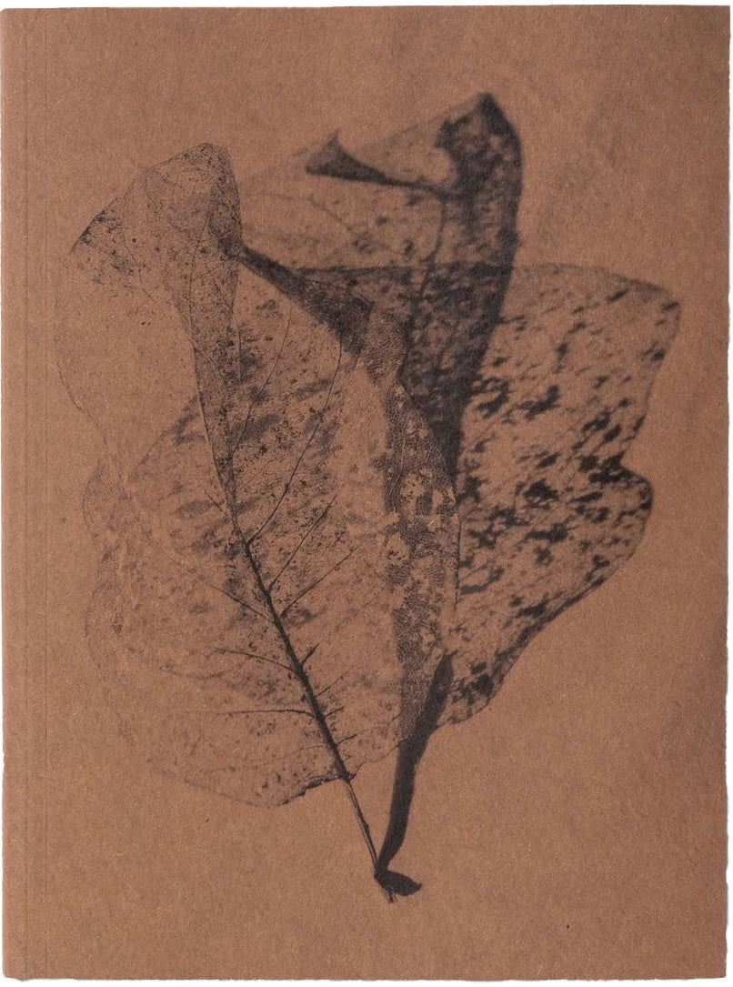A Voice Above The Linn