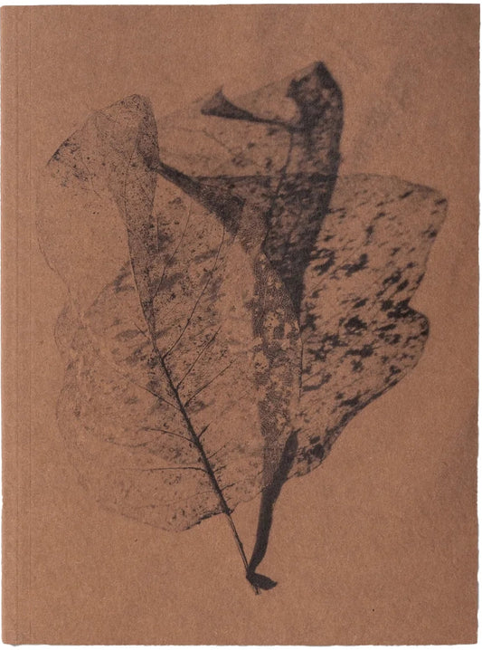 A Voice Above The Linn