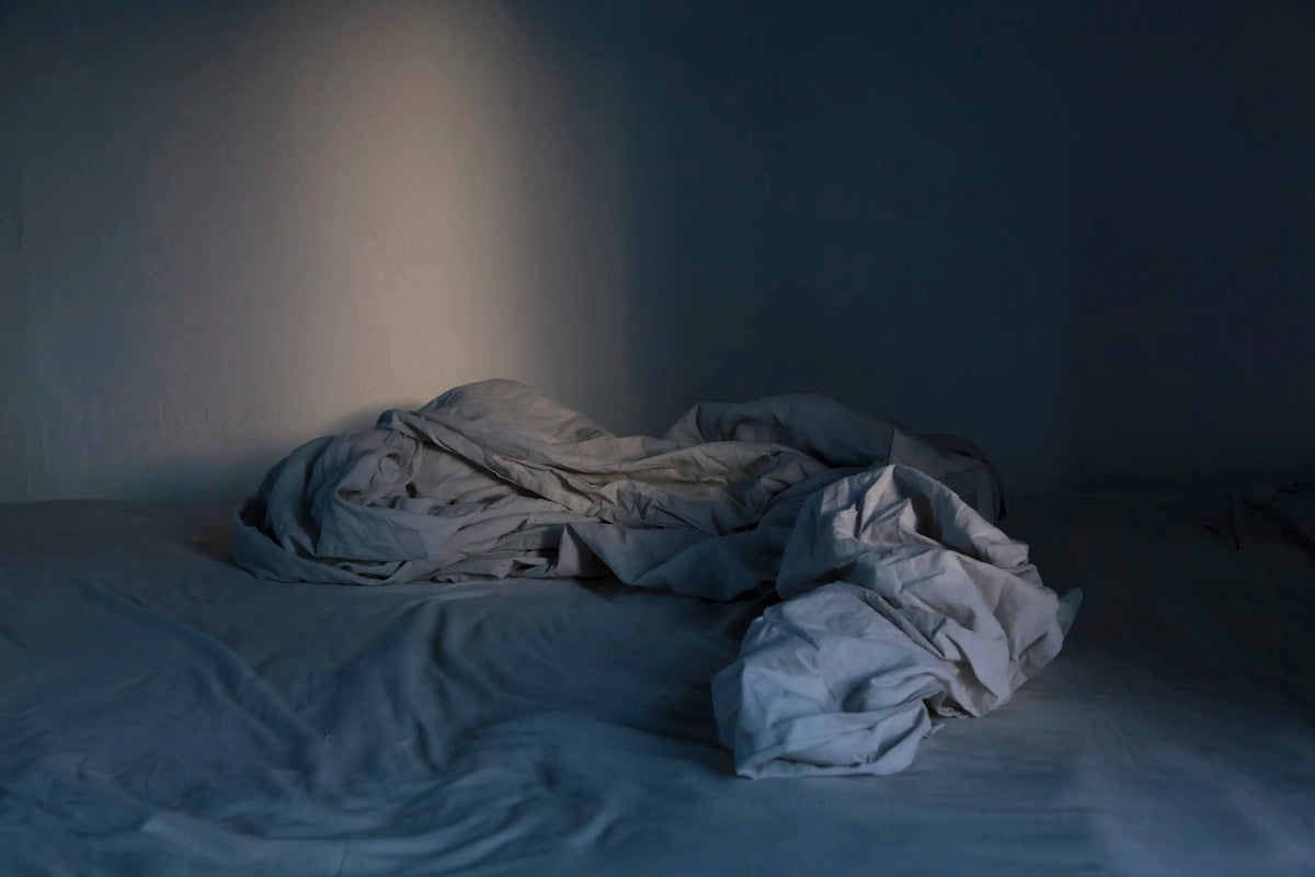 Untitled (Noctua) — Danae Panagiotidi