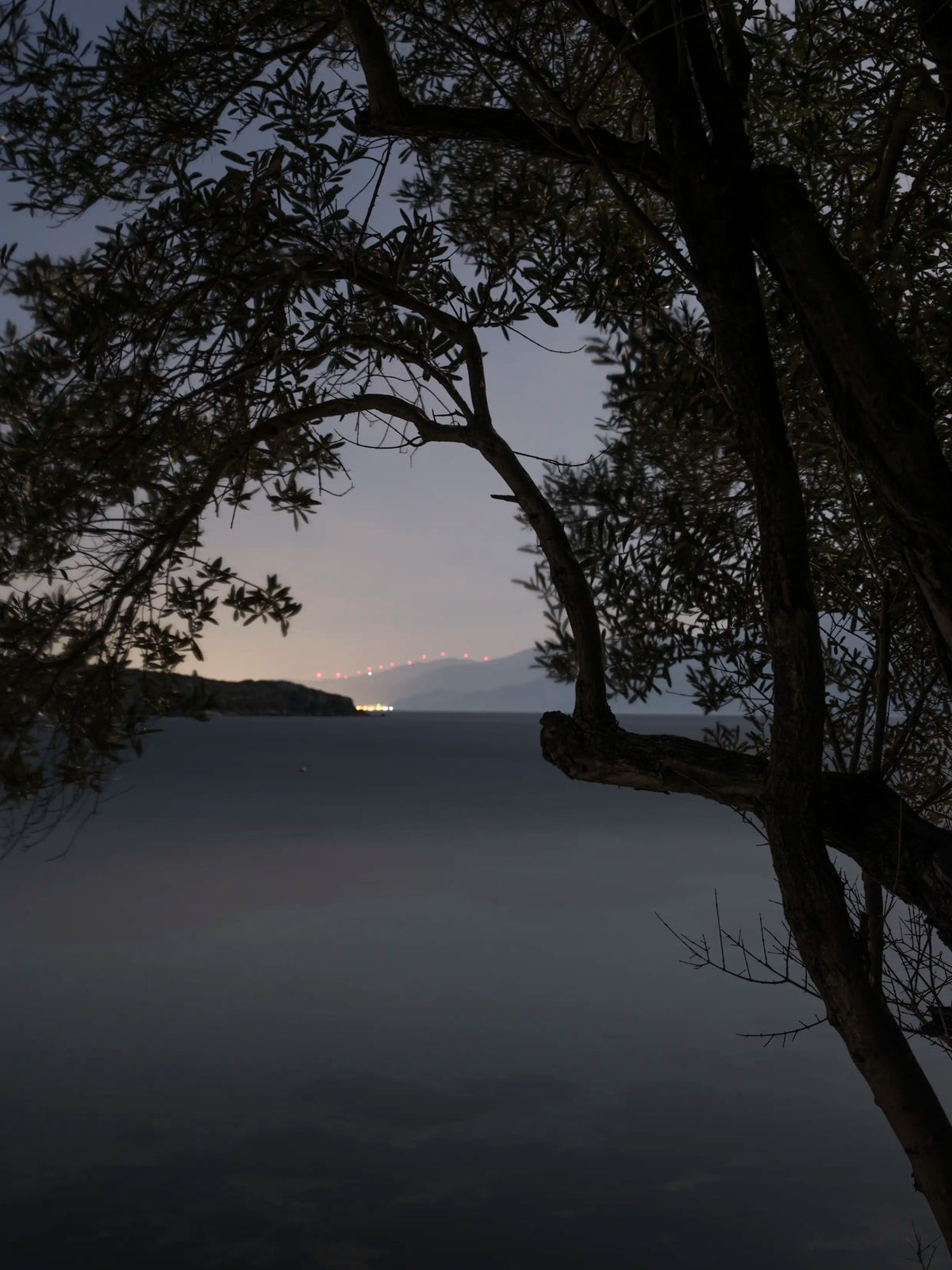 Untitled, Samos, 2025 — Michael Vahrenwald