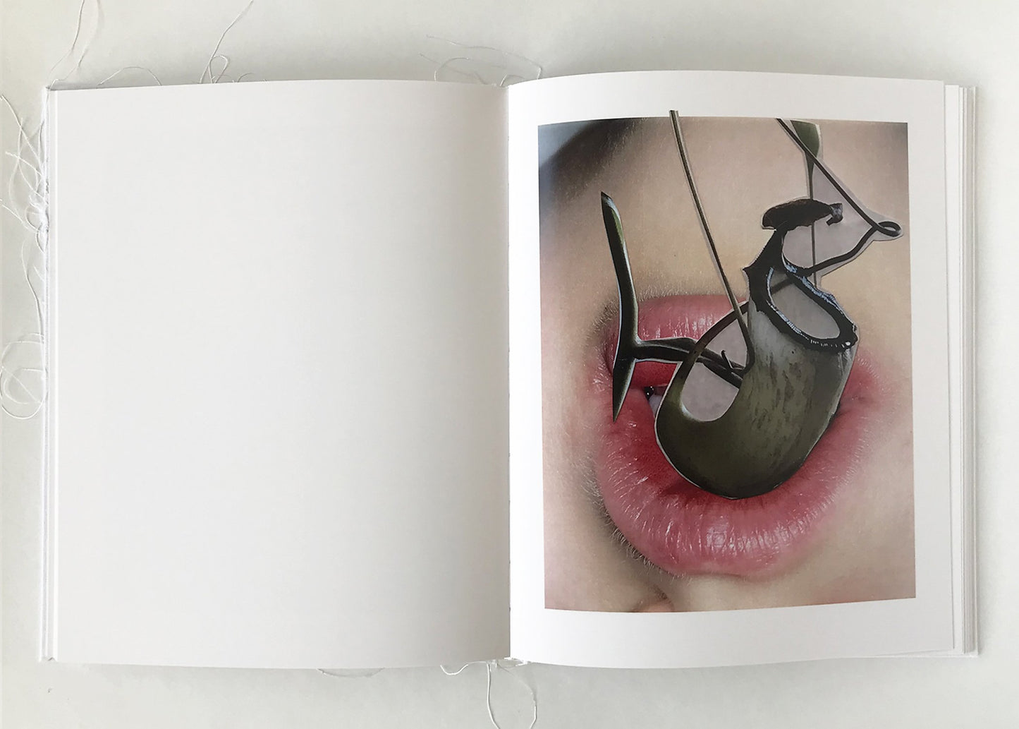 Of Mud and Lotus [Signed]