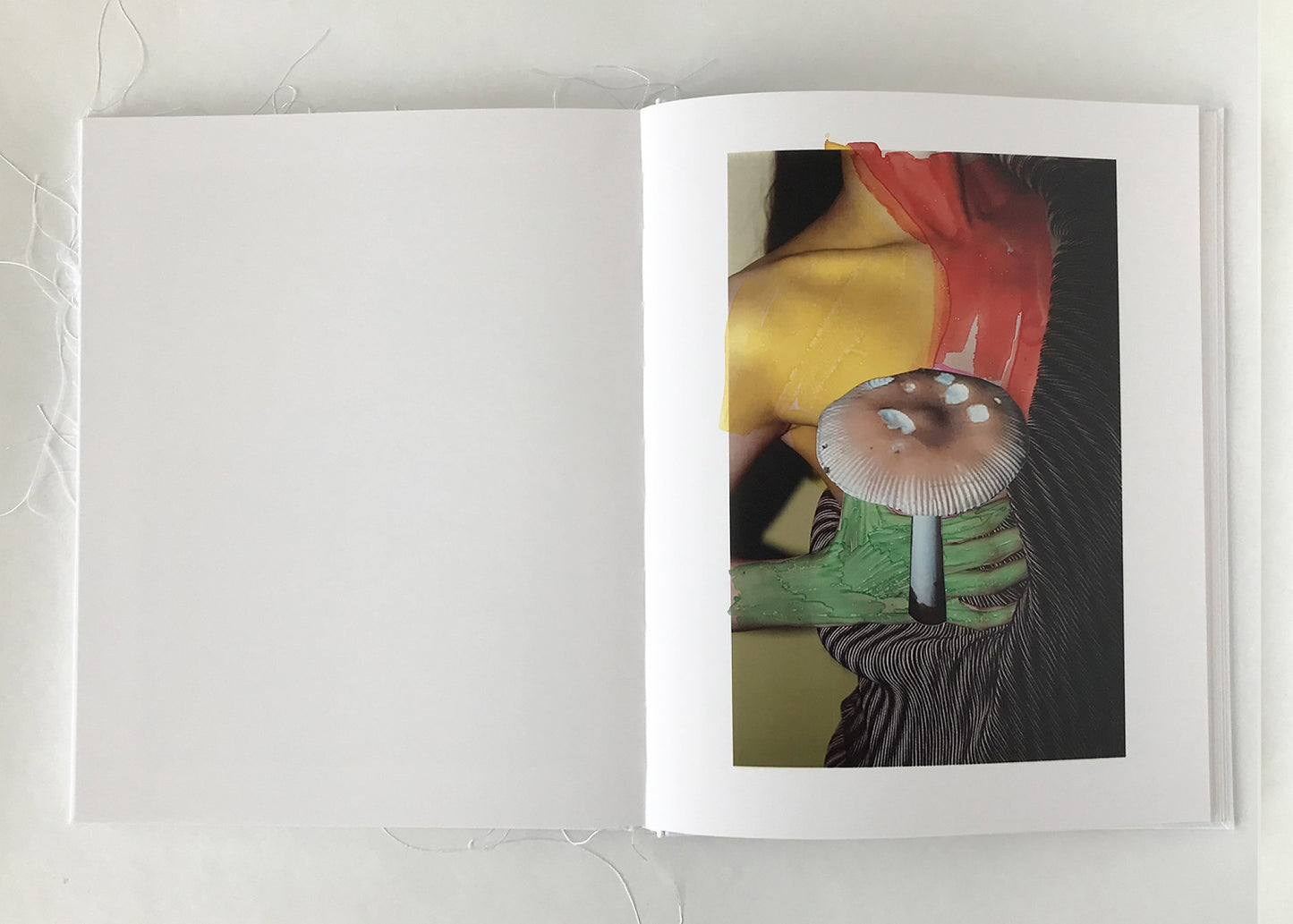 Of Mud and Lotus [Signed]