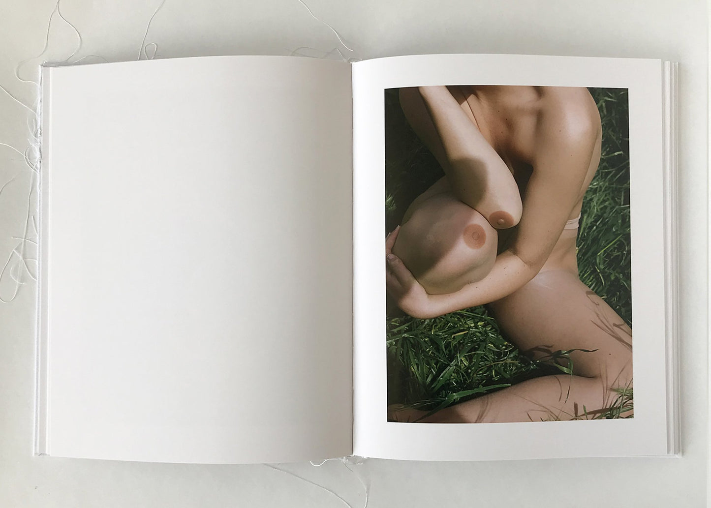 Of Mud and Lotus [Signed]