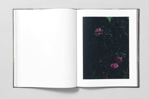 Blackwater River - Artist Edition