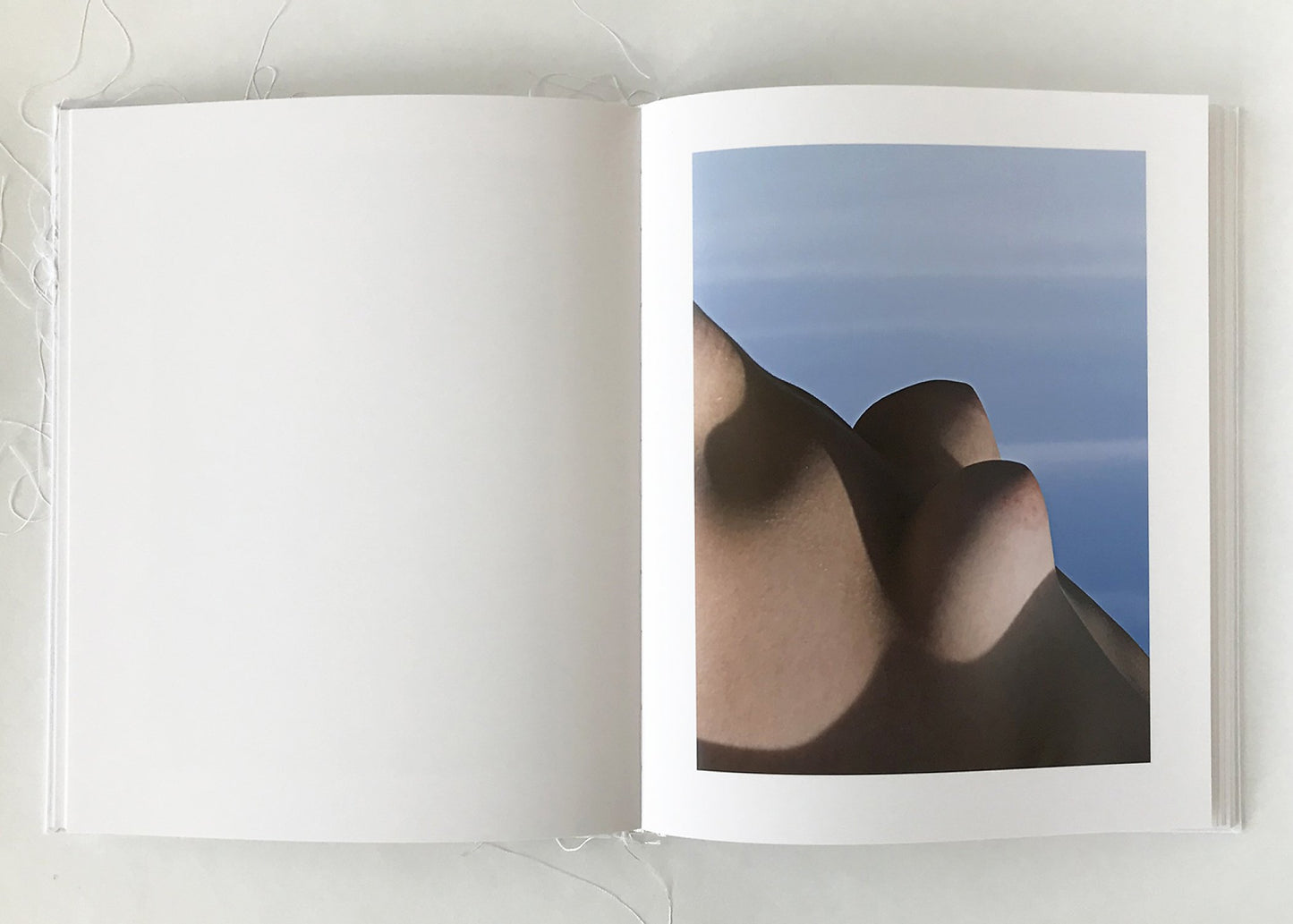 Of Mud and Lotus [Signed]