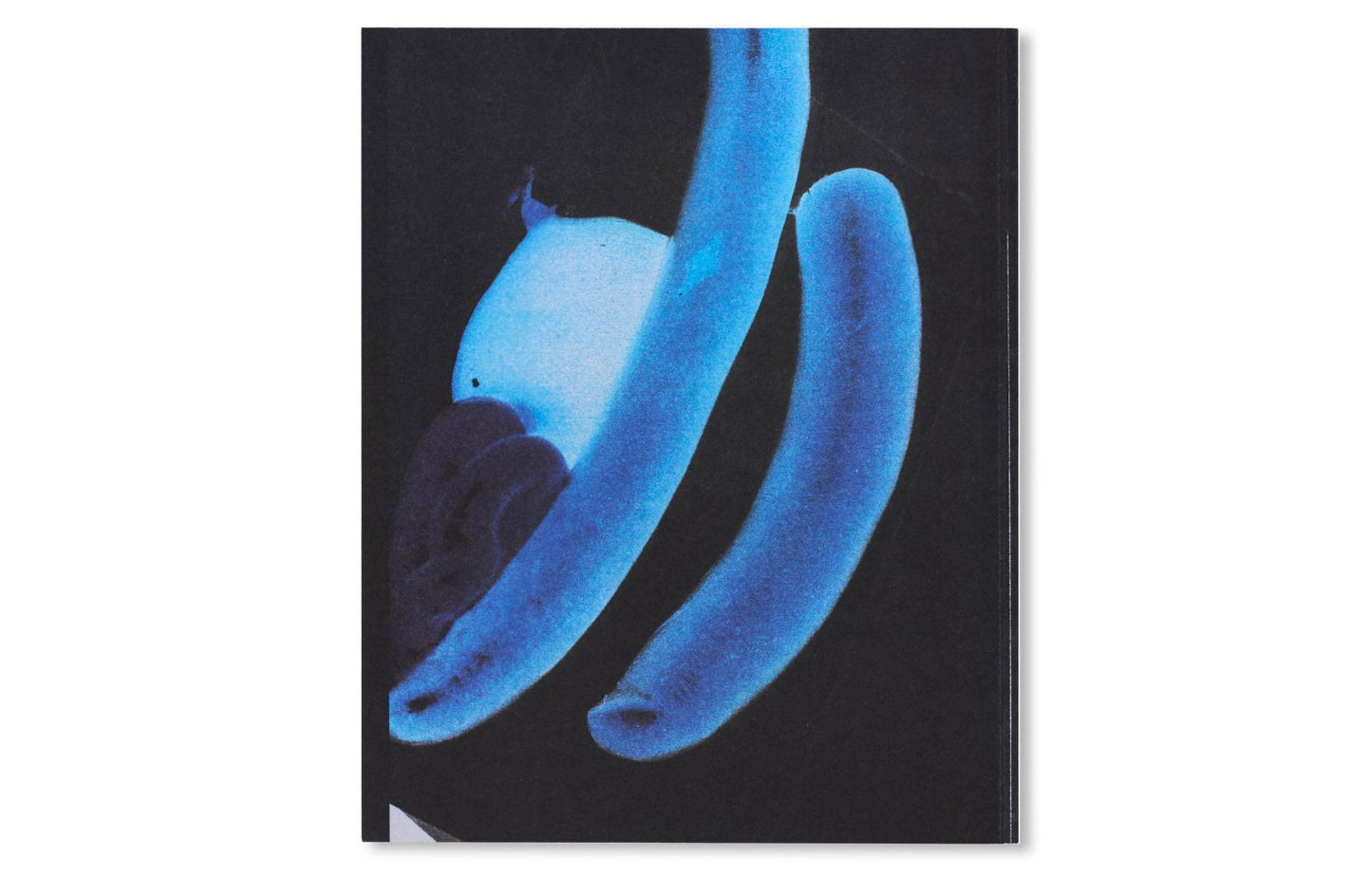 100 Bilder [Signed]