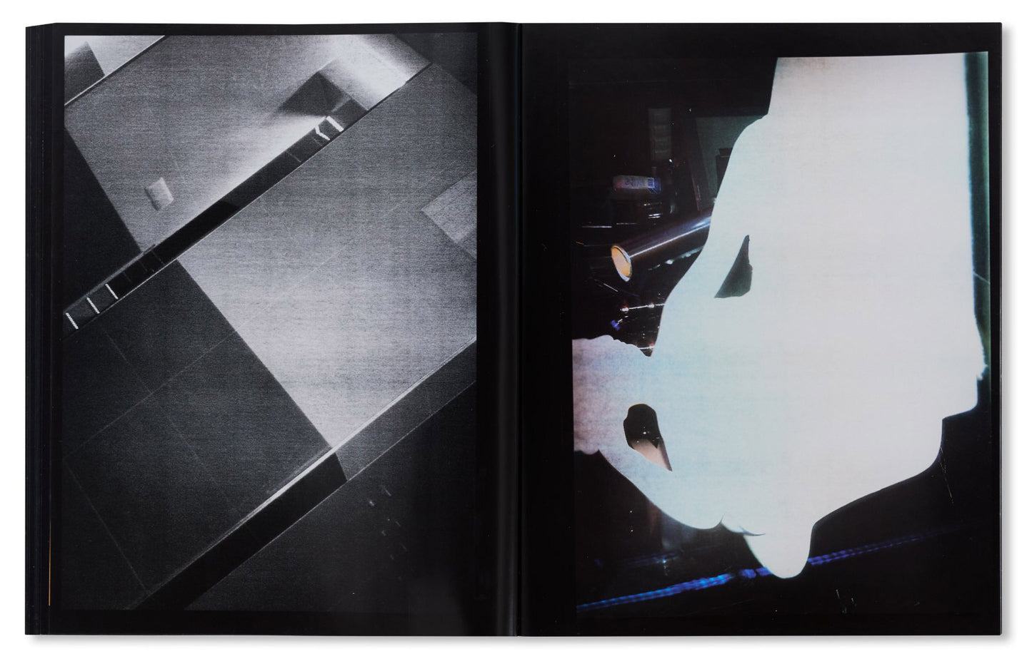 100 Bilder [Signed]