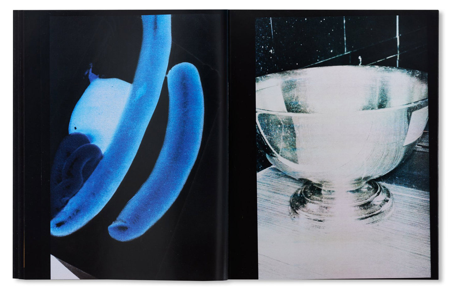 100 Bilder [Signed]