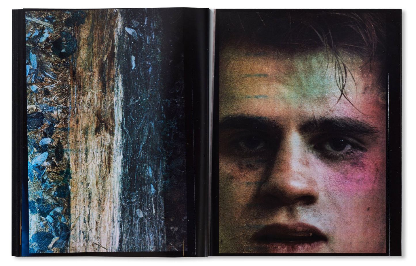 100 Bilder [Signed]