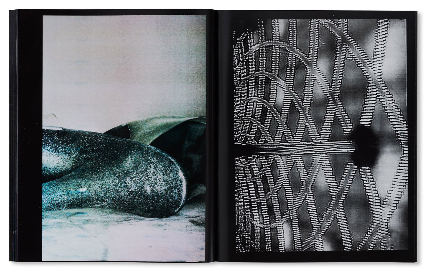 100 Bilder [Signed]