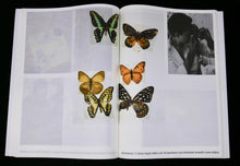 Notes on Fundamental Joy; seeking the elimination of oppression through the social and political transformation of the patriarchy that otherwise threatens to bury us