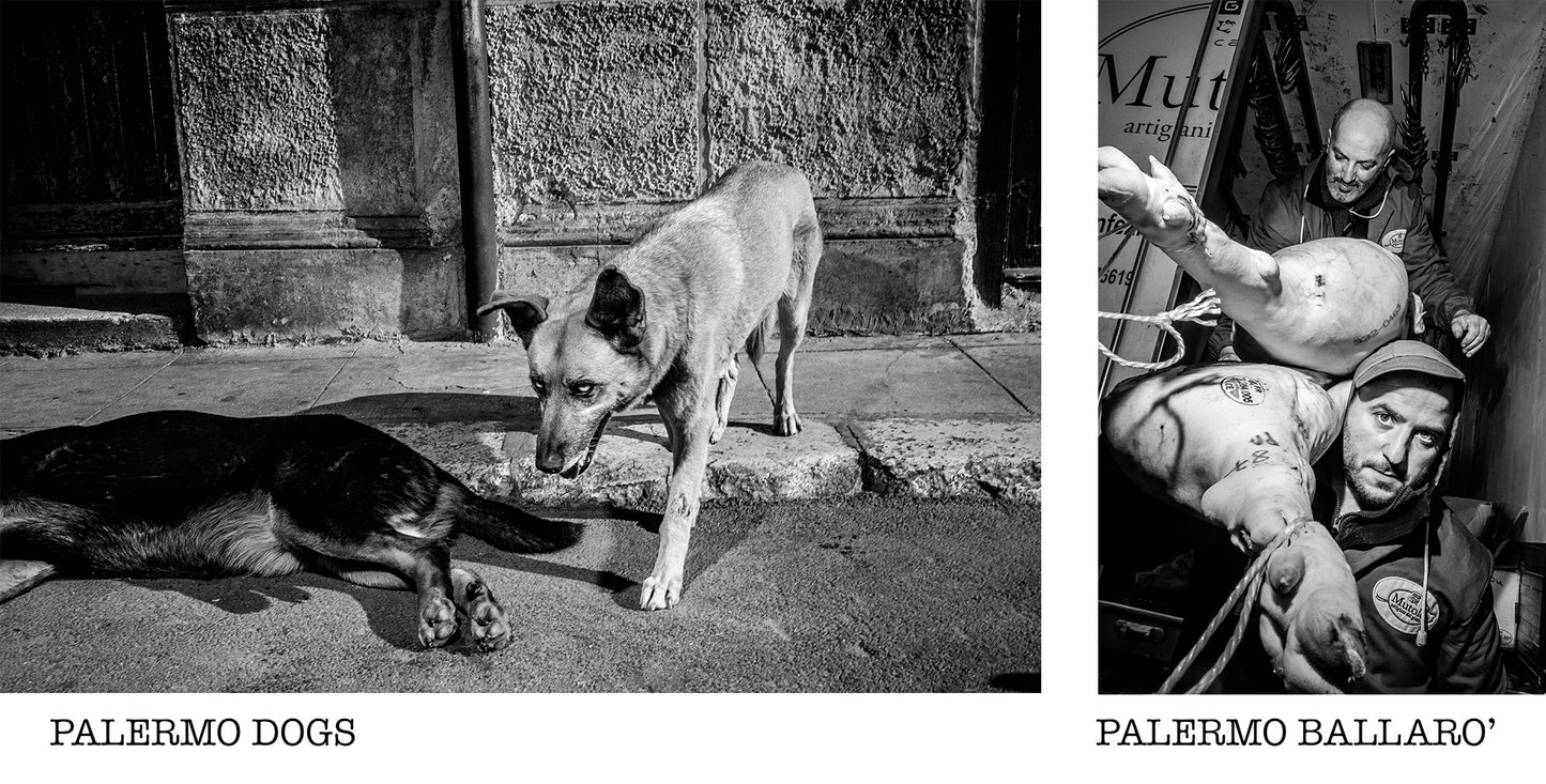 Palermo Gilden [Signed]