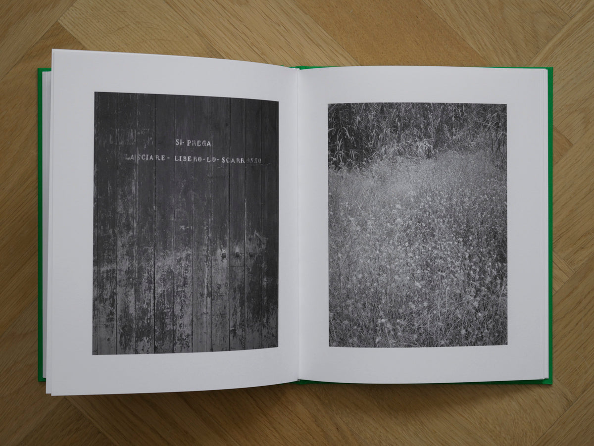 Fiat Panda and the Shadows [Signed]