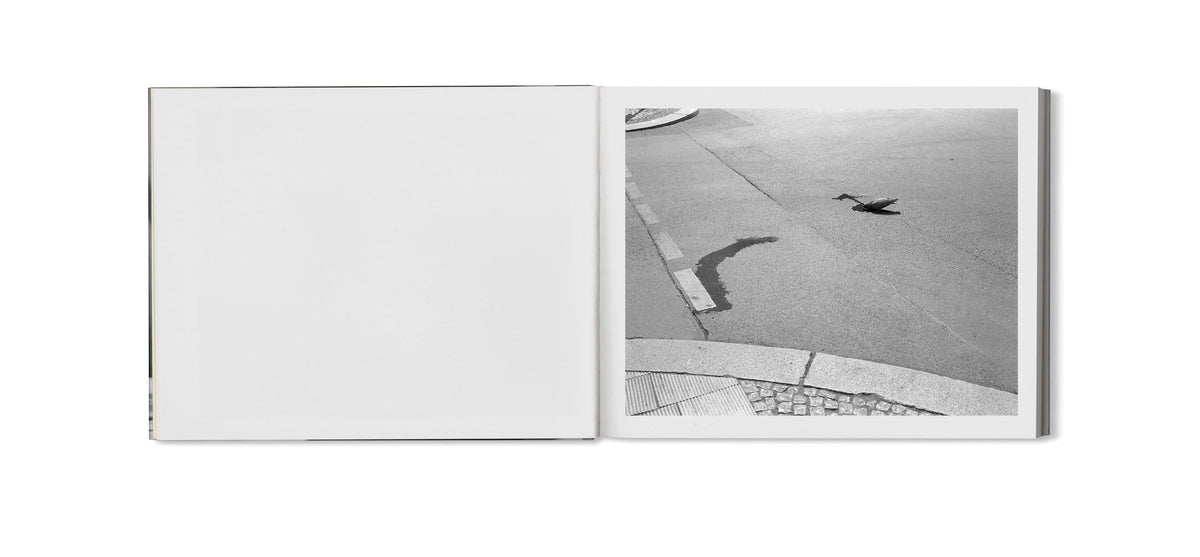 Berlin Pictures [Signed]