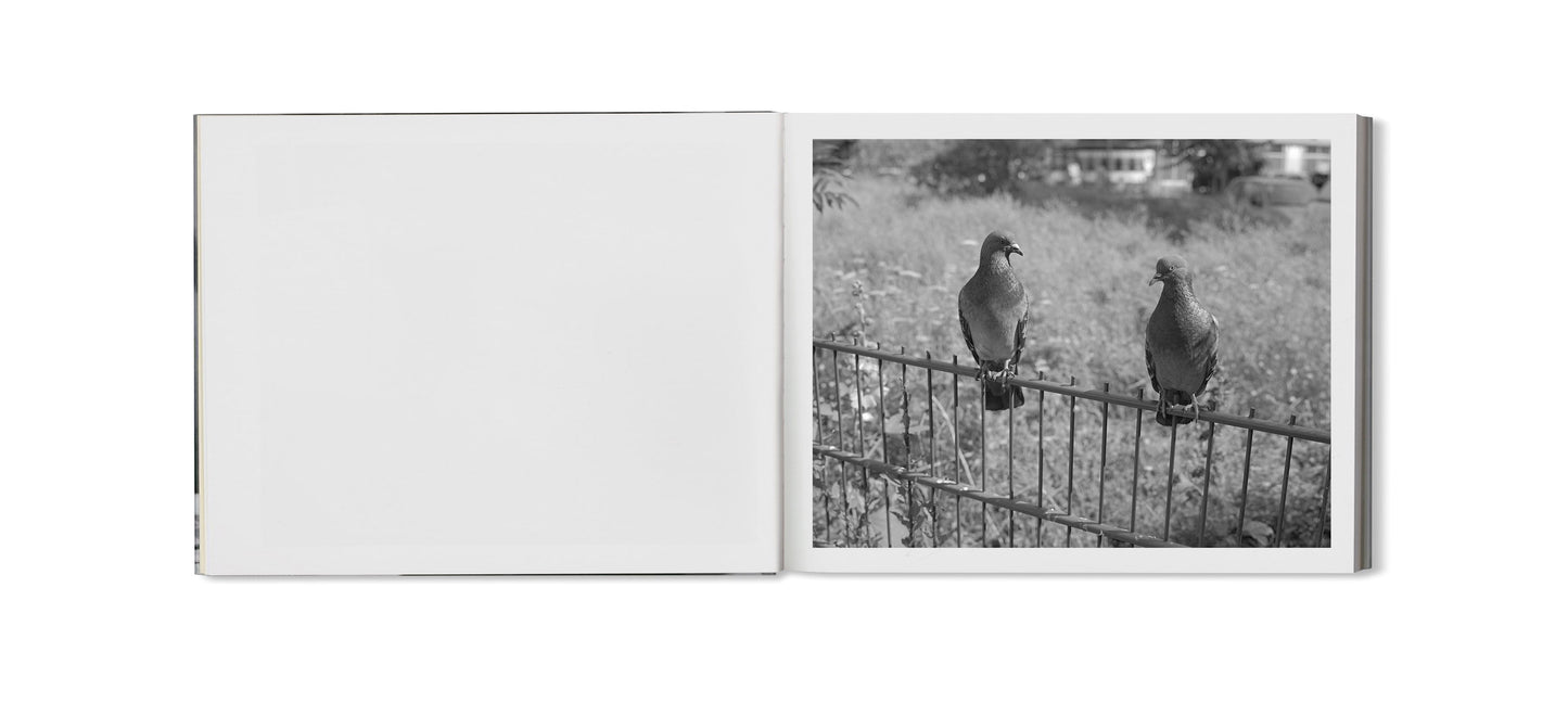 Berlin Pictures - Special edition I