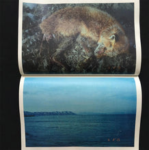 Towards the North - signed copy
