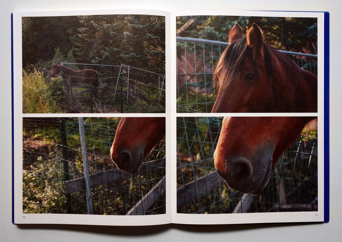DAMME [Signed]