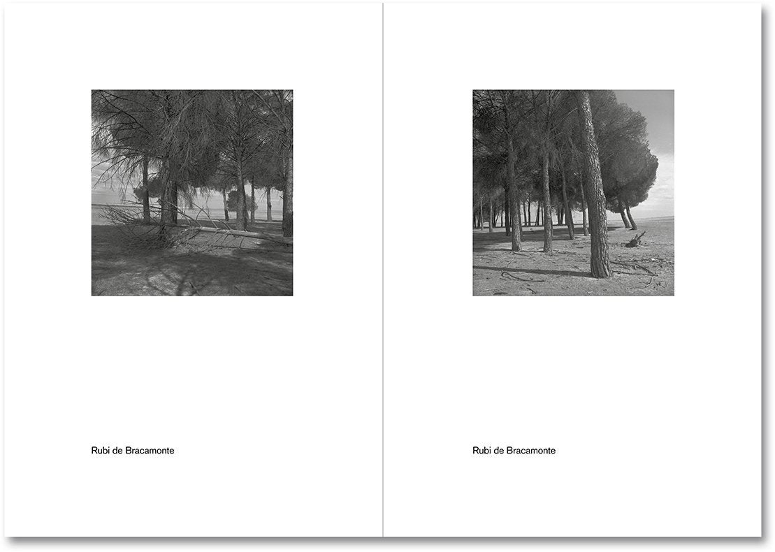 Spanish Summer [Signed]