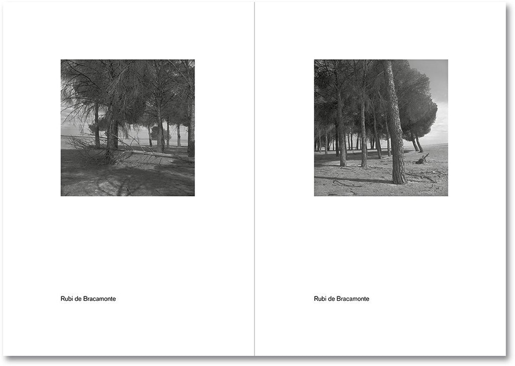Spanish Summer - signed copy
