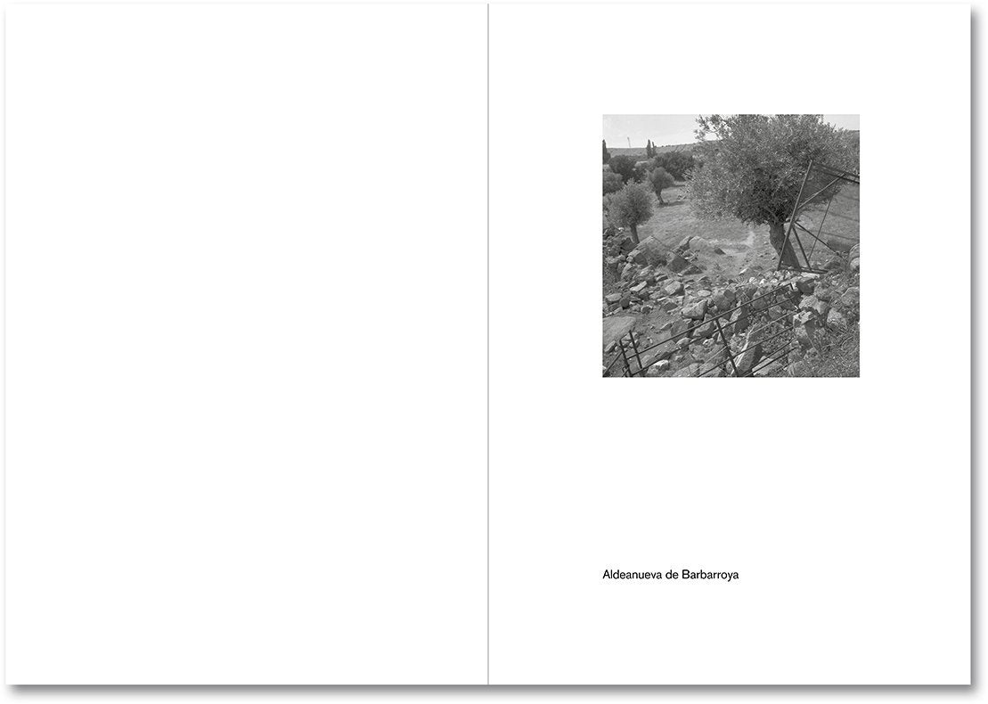 Spanish Summer [Signed]