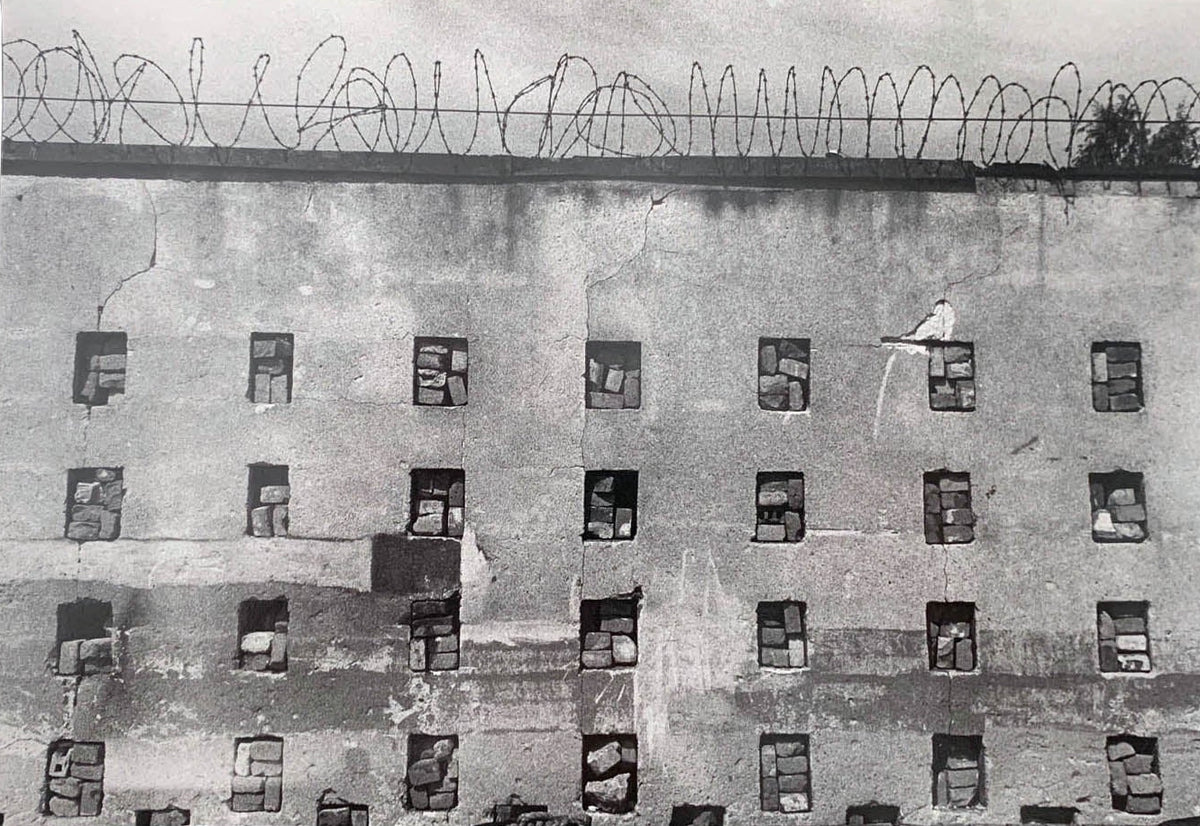 Pulicar- special edition