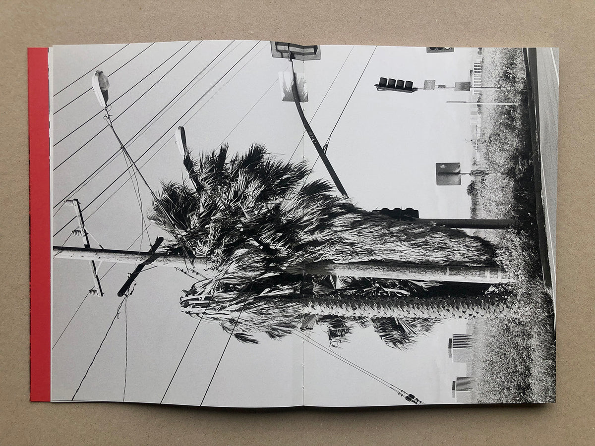 Walking Distance [Signed]