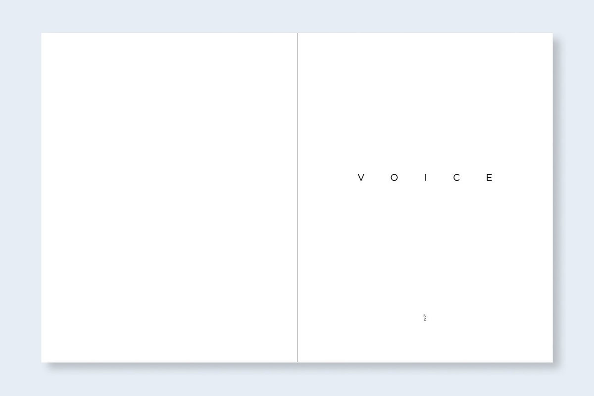 VOICE 이정진