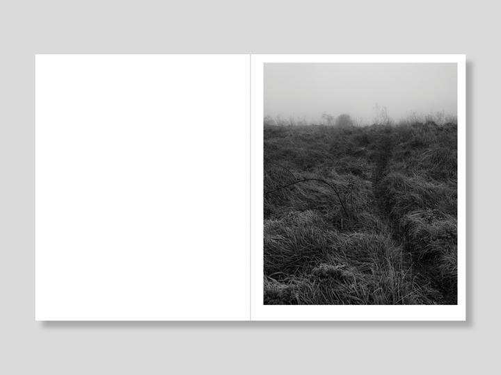 THIS LAND [Signed]
