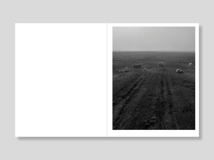 THIS LAND [Signed]