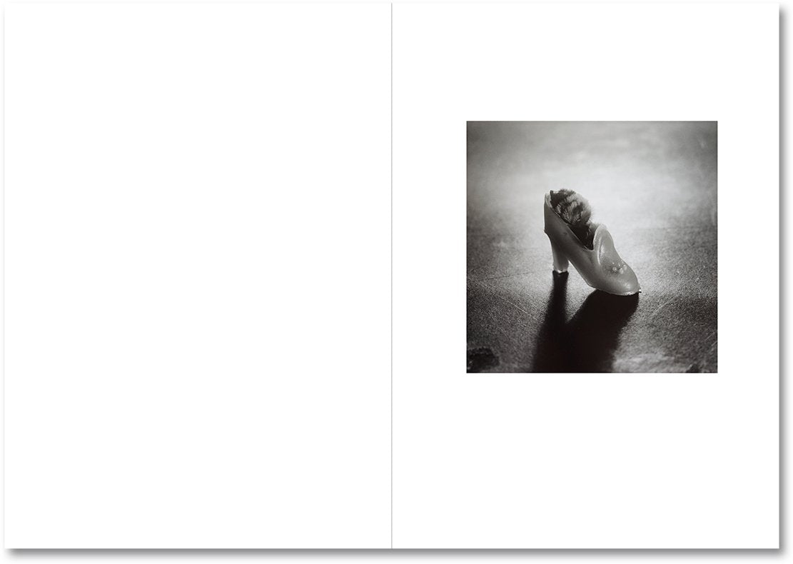The Shabbiness of Beauty [Signed]