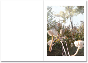 Somersault - signed