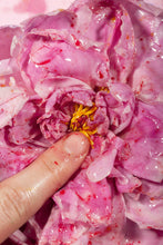 Rubbish, Dipping Sauce, Grass, Peonie, Bum