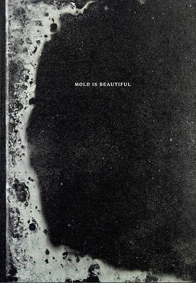 Mold is beautiful